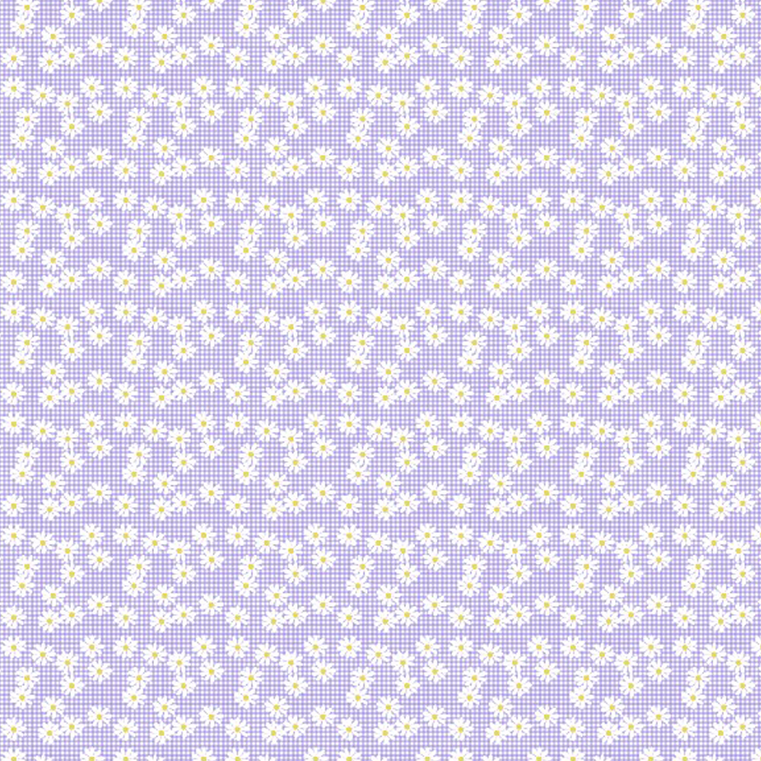 데이지(06) violet
